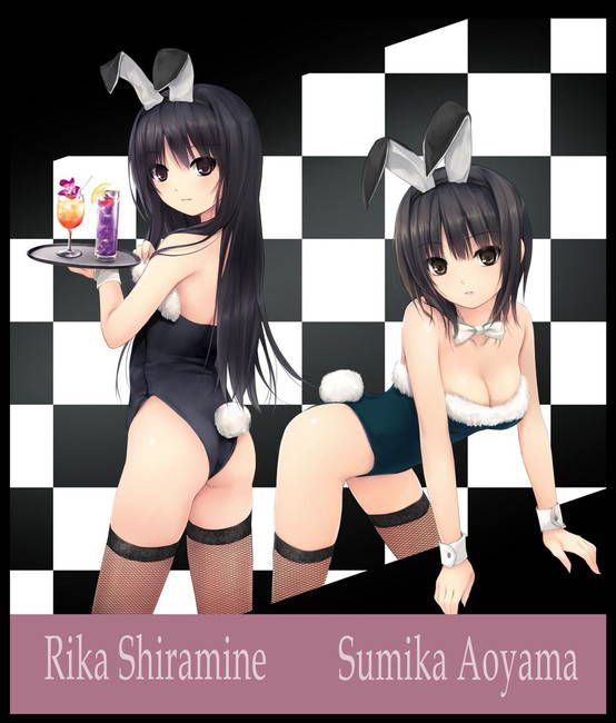 [Two-dimensional 50 pieces] second erotic image of a girl of bunny girl figure! Part28 50
