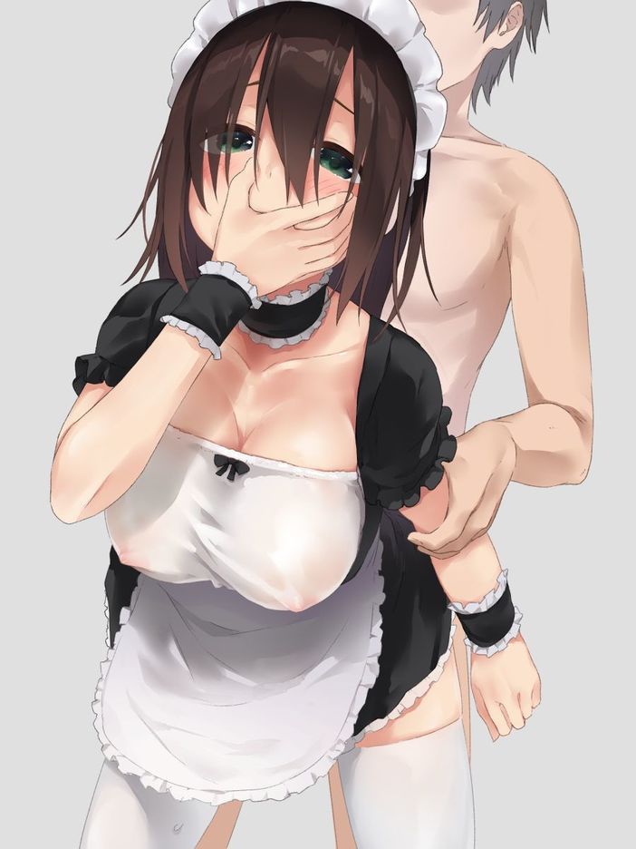 [Maid clothes] two-dimensional erotic image of the maid's service 18