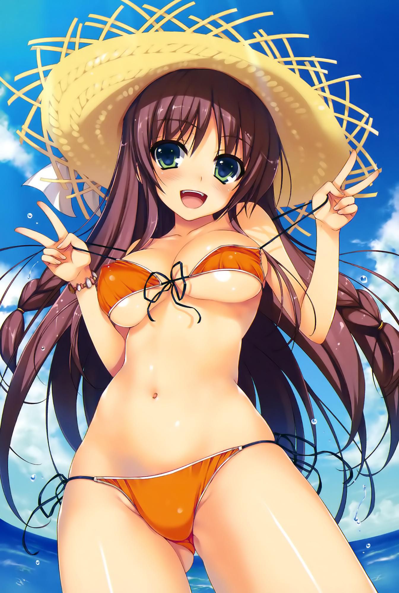 An assortment of naughty swimsuit images of two-dimensional girl. vol.56 10