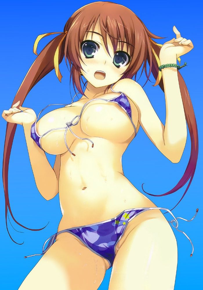An assortment of naughty swimsuit images of two-dimensional girl. vol.56 12