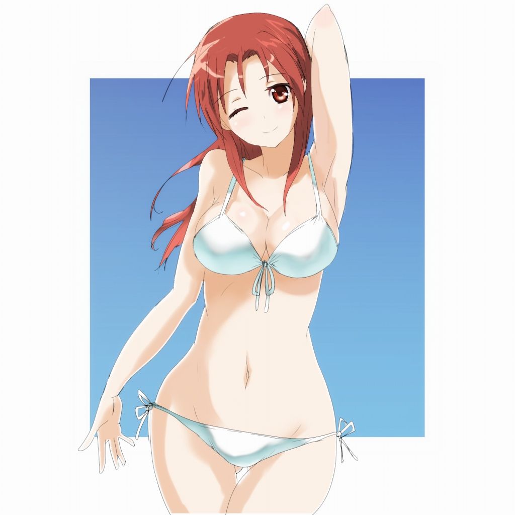 An assortment of naughty swimsuit images of two-dimensional girl. vol.56 2
