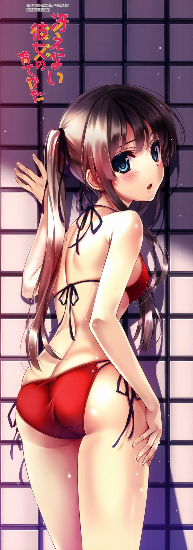 An assortment of naughty swimsuit images of two-dimensional girl. vol.56 21