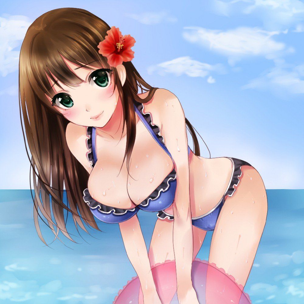 An assortment of naughty swimsuit images of two-dimensional girl. vol.56 3