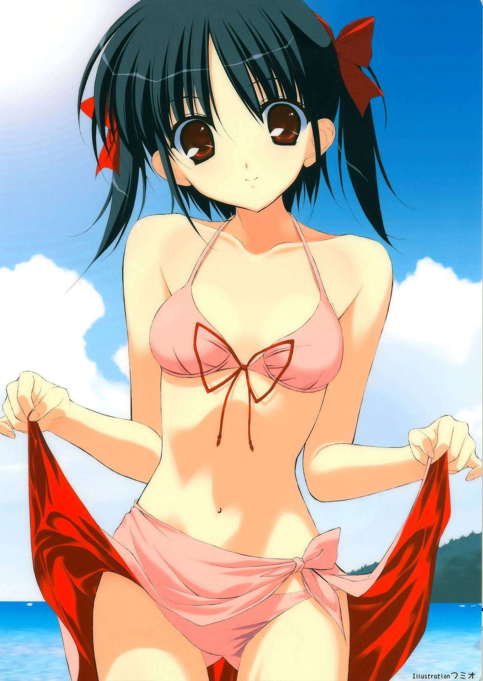 An assortment of naughty swimsuit images of two-dimensional girl. vol.55 11