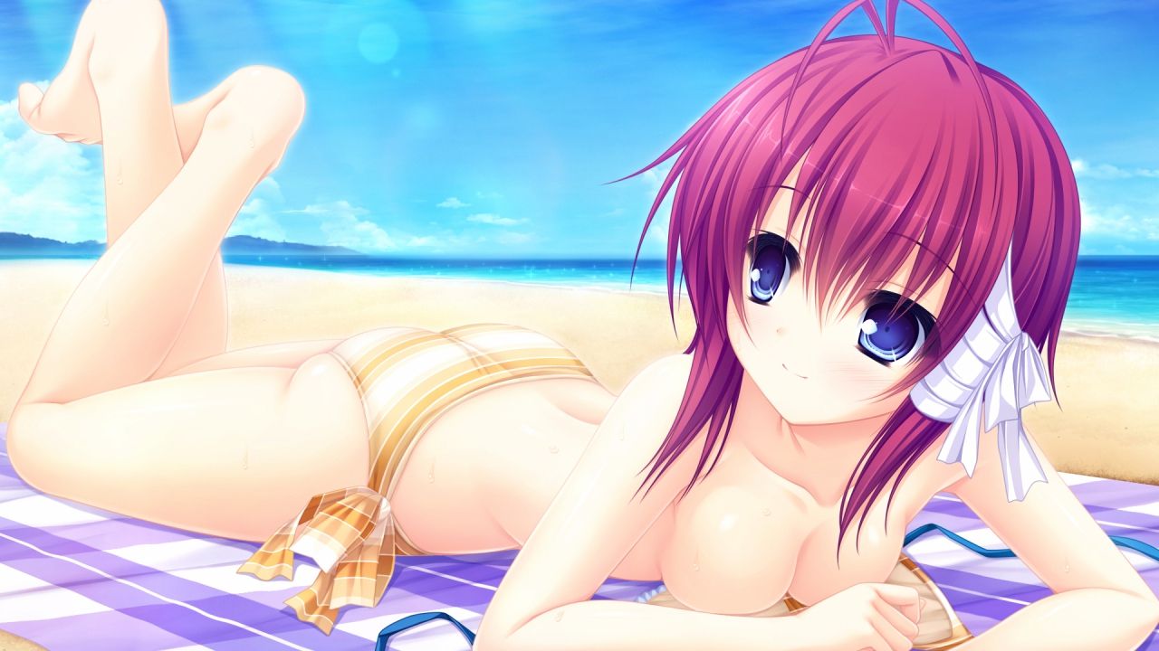 An assortment of naughty swimsuit images of two-dimensional girl. vol.55 12