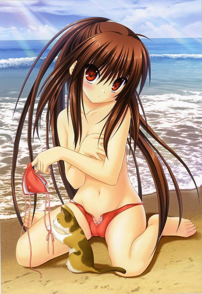 An assortment of naughty swimsuit images of two-dimensional girl. vol.55 17