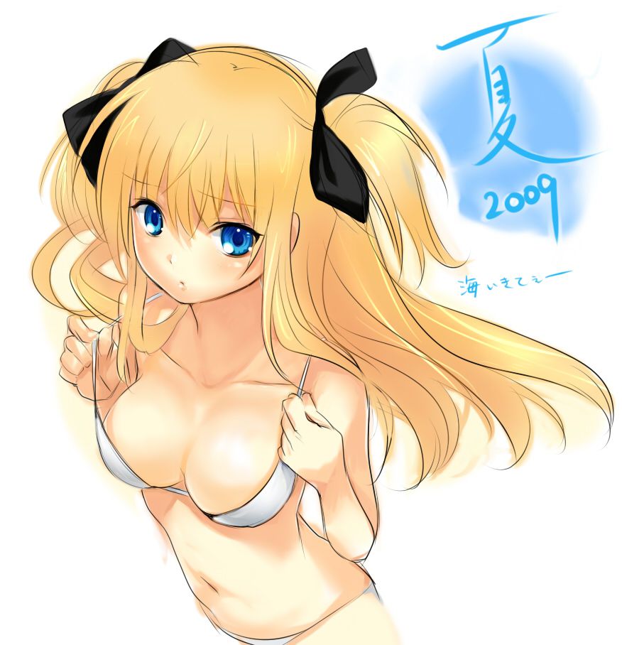 An assortment of naughty swimsuit images of two-dimensional girl. vol.55 27