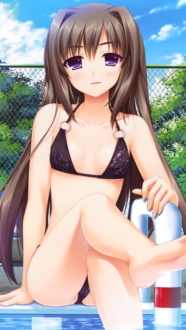 An assortment of naughty swimsuit images of two-dimensional girl. vol.55 3