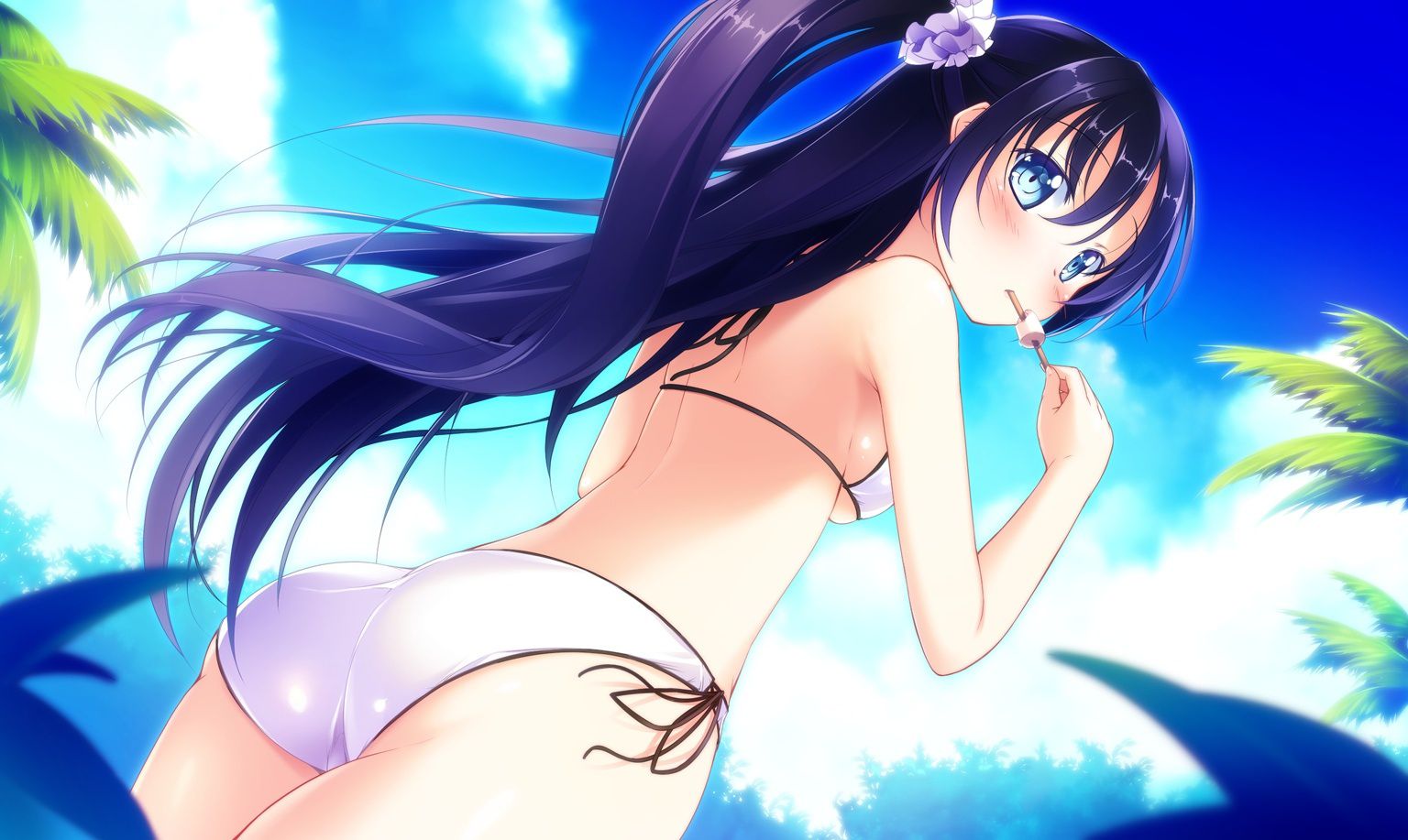 An assortment of naughty swimsuit images of two-dimensional girl. vol.55 5