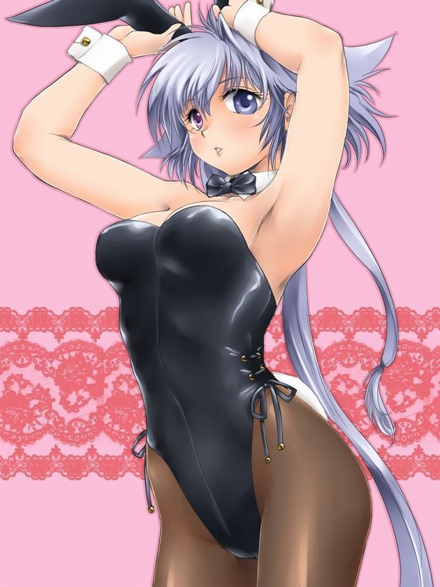 [Bunny girl H image] Girl of the whip body figure of bunny girl wearing the rabbit ear ♥ [secondary image .cos] 39