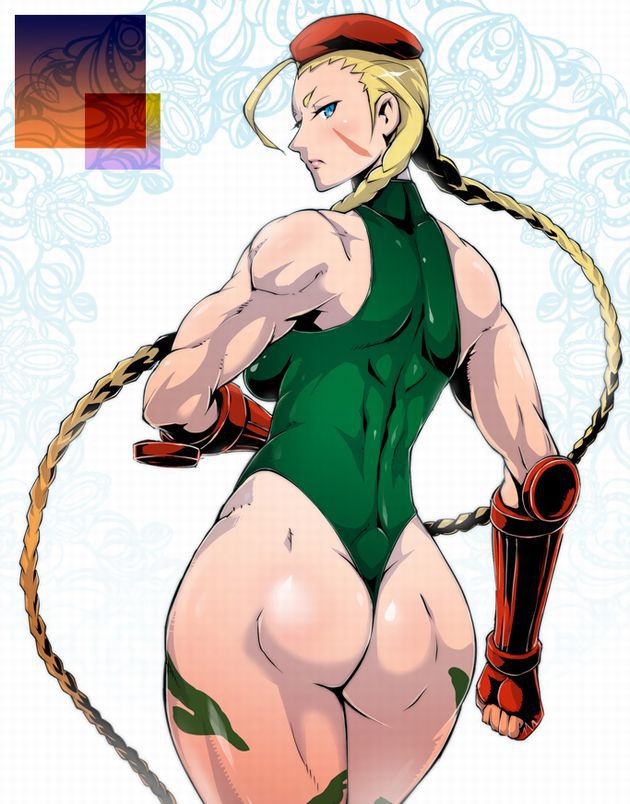 [Sf5] Cammy-white high-order erotic image of H...!!!! 48