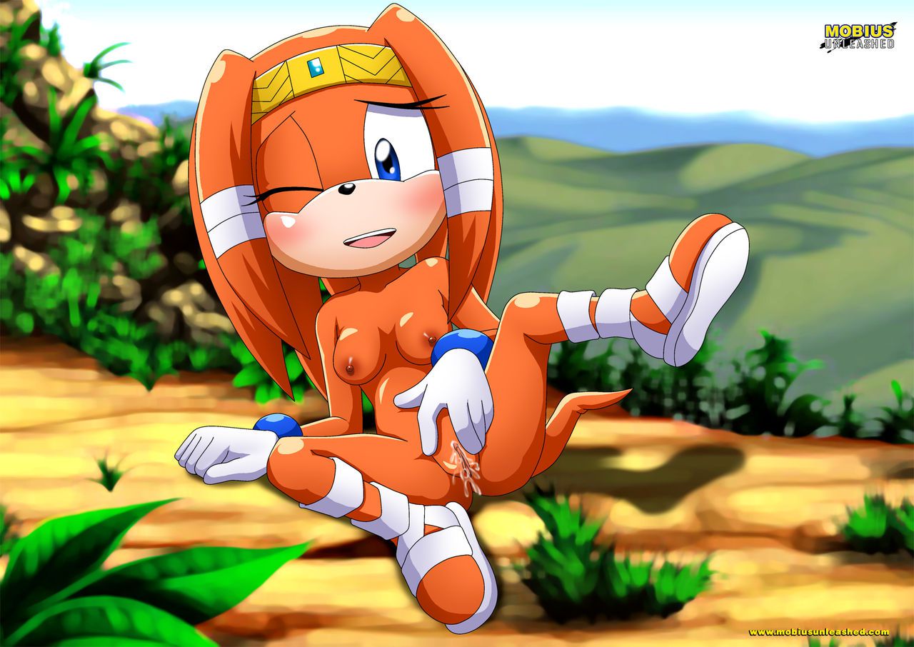 Mobius Unleashed: Tikal the Echidna 12