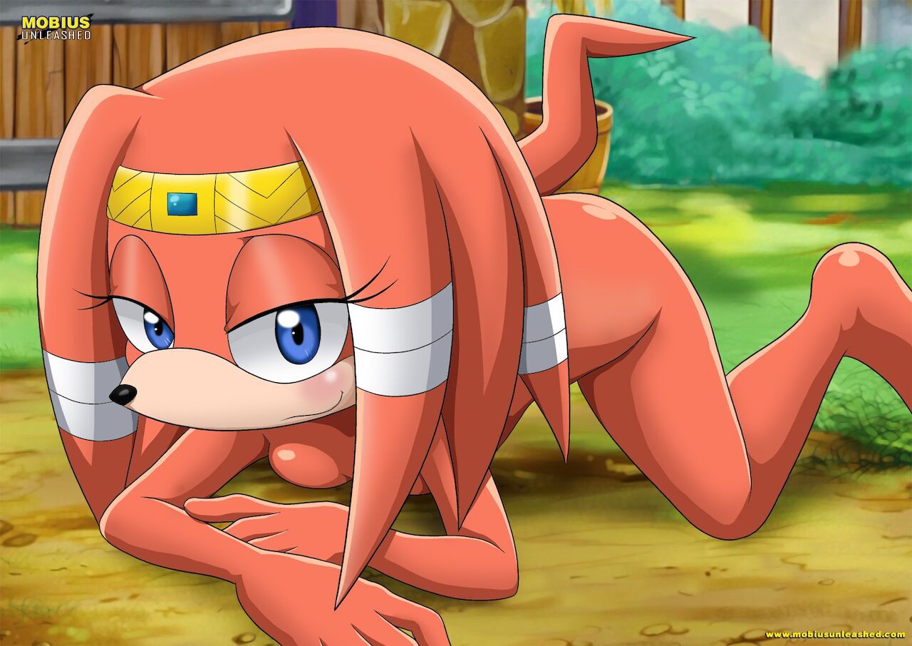 Mobius Unleashed: Tikal the Echidna 16