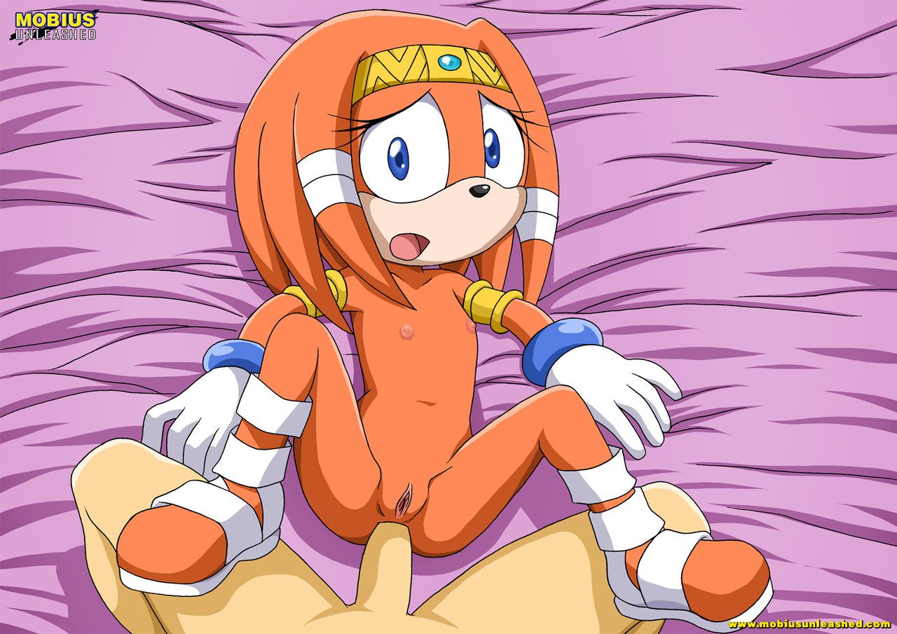 Mobius Unleashed: Tikal the Echidna 29