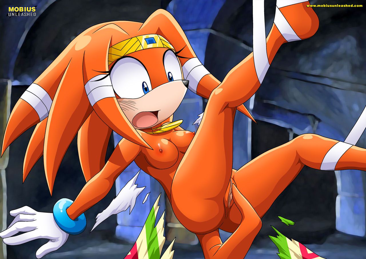Mobius Unleashed: Tikal the Echidna 3