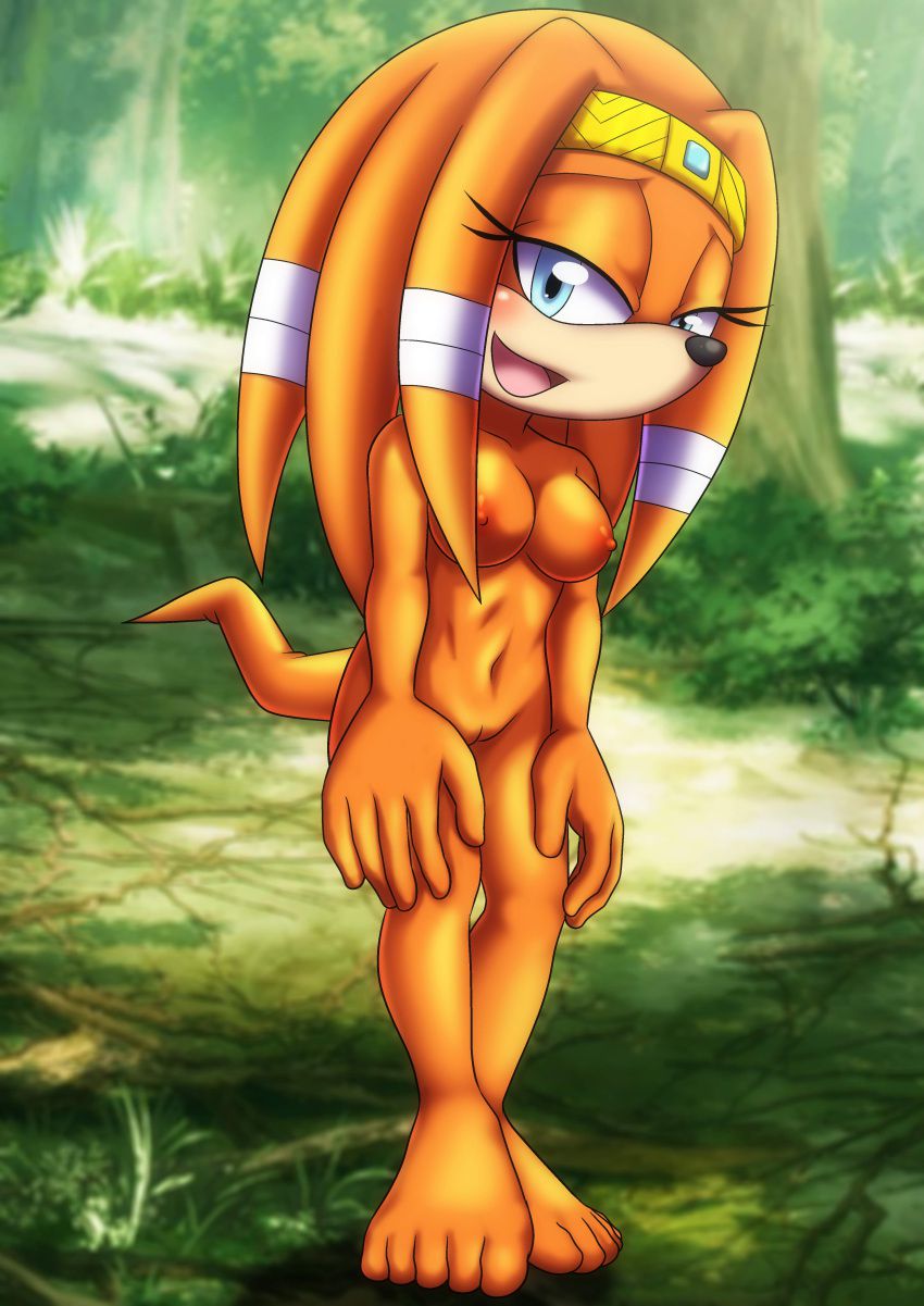 Mobius Unleashed: Tikal the Echidna 4