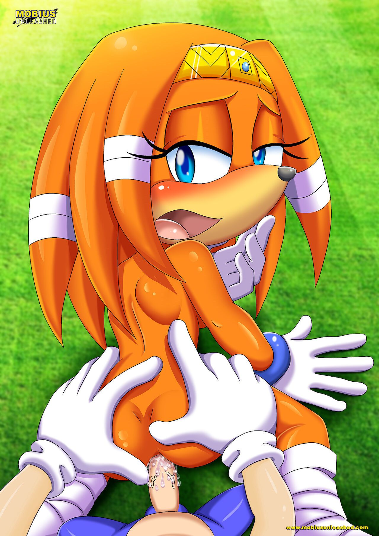 Mobius Unleashed: Tikal the Echidna 74
