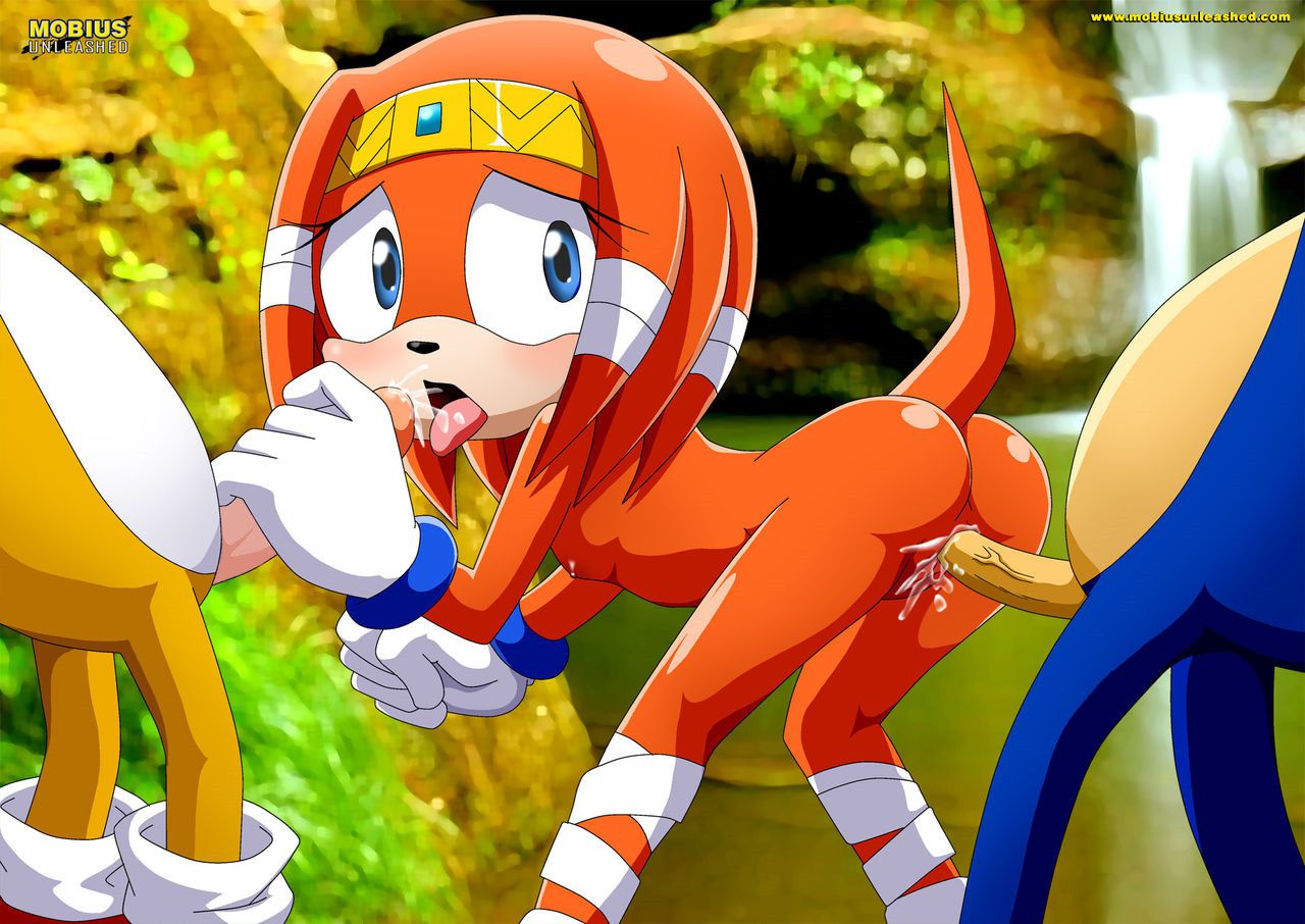 Mobius Unleashed: Tikal the Echidna 79