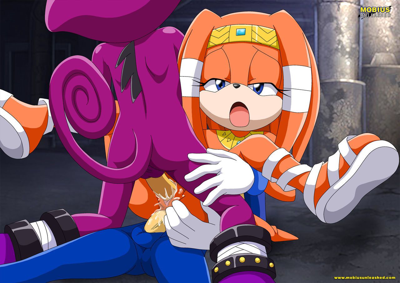 Mobius Unleashed: Tikal the Echidna 81