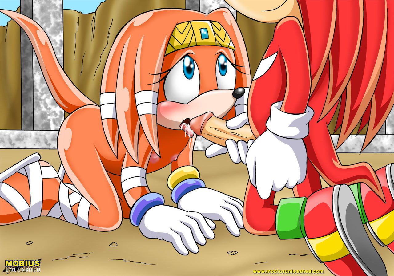 Mobius Unleashed: Tikal the Echidna 86