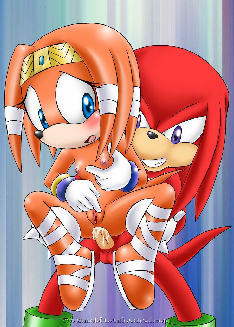 Mobius Unleashed: Tikal the Echidna 93