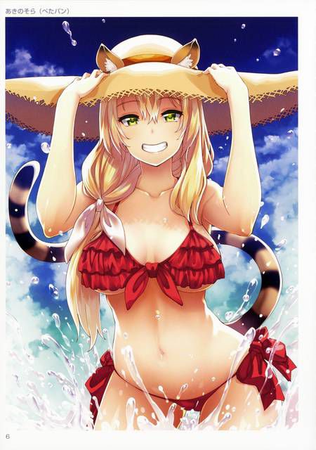 [58 pieces] two-dimensional girl fetish image wearing a straw hat. 5 19