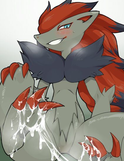 Zoroark and Beyond 165