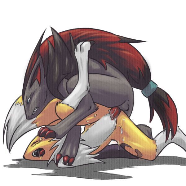 Zoroark and Beyond 233