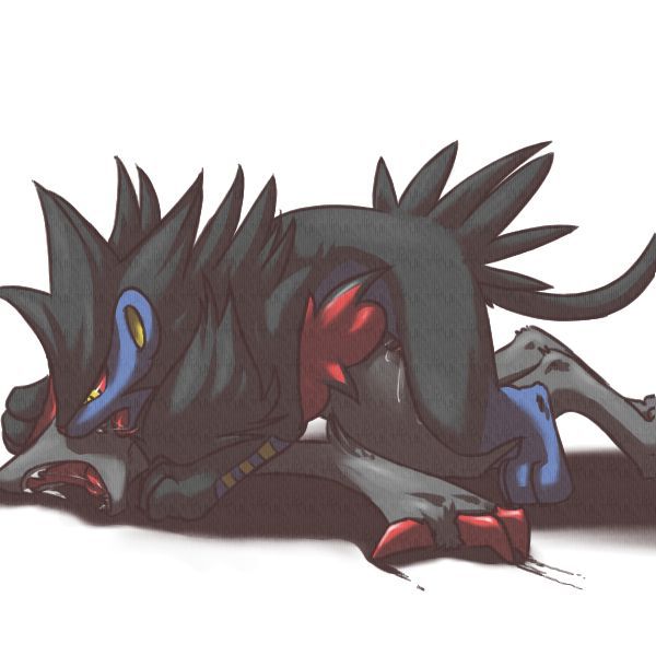 Zoroark and Beyond 234