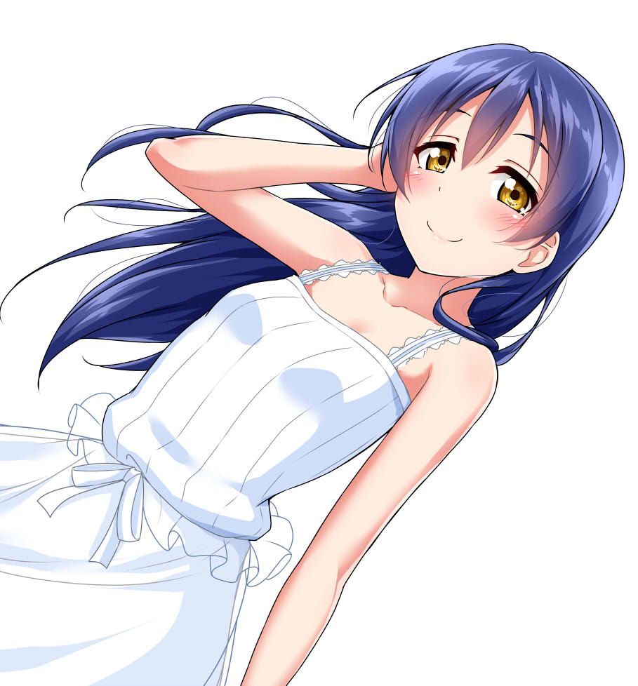 [Secondary ZIP] cute love live sonoda Umi no Chan 100 pictures of the shy 92