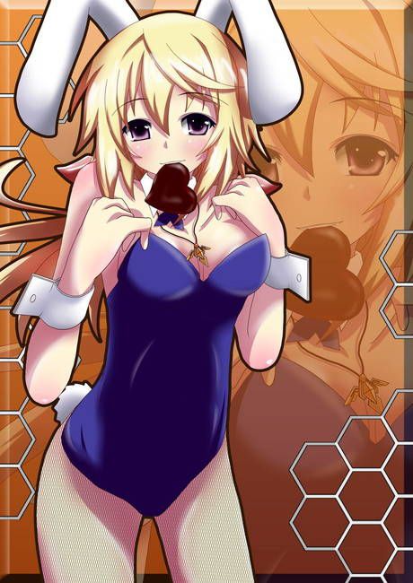 [50-dimensional] secondary erotic image of the girl Figure Bunny girl! Part25 7