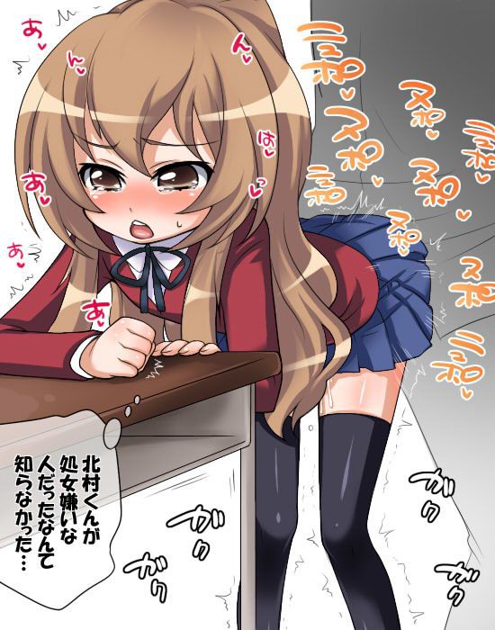 Toradora! Review the erotic images of 17