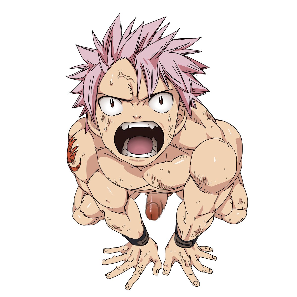 [Collection] Fairy tail [Bara] 15