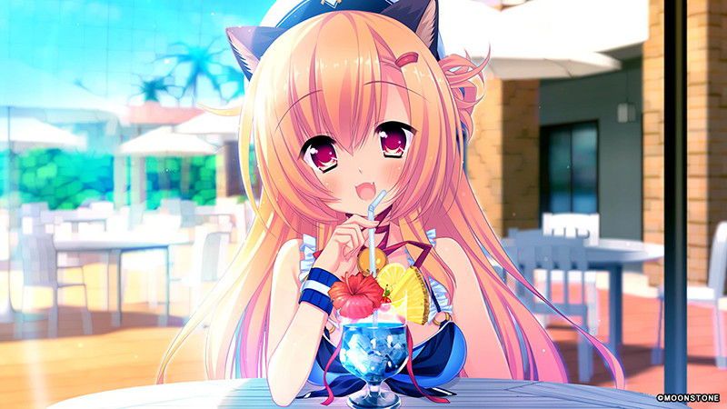 Free CG of a lovely summer color days with cats 2