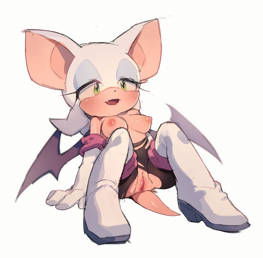 Rouge the Bat Rouge the Bat 18