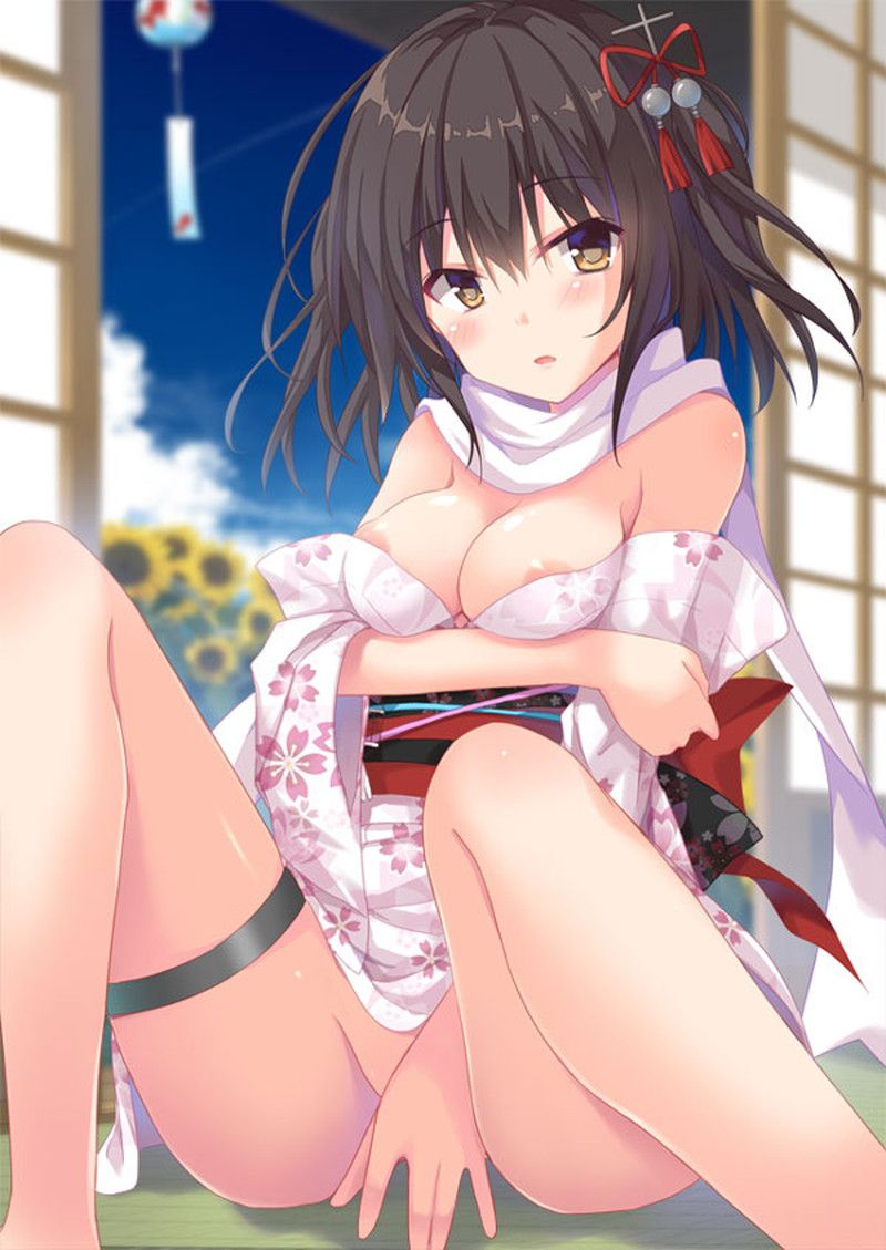 【Fleet Kokushōn】Free (Free) Secondary Erotic Image Collection in the River 14