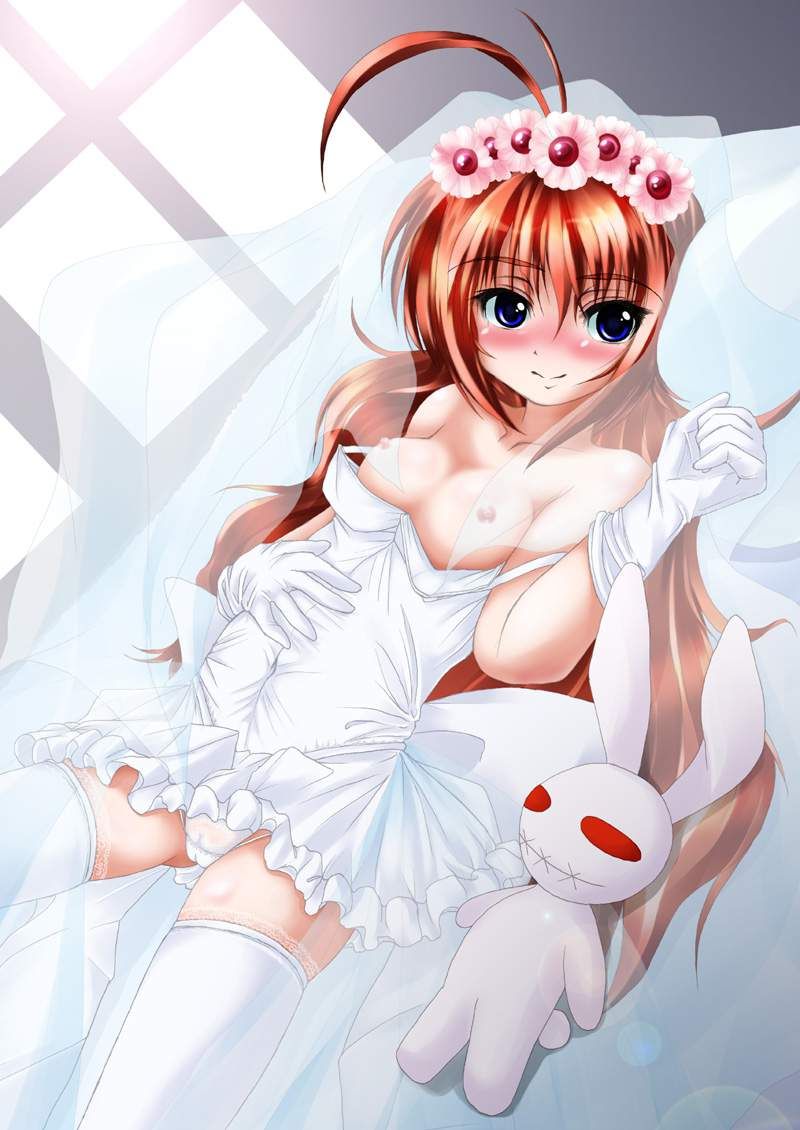 Two-dimensional erotic image of magical girl Lyrical Nanoha. 18