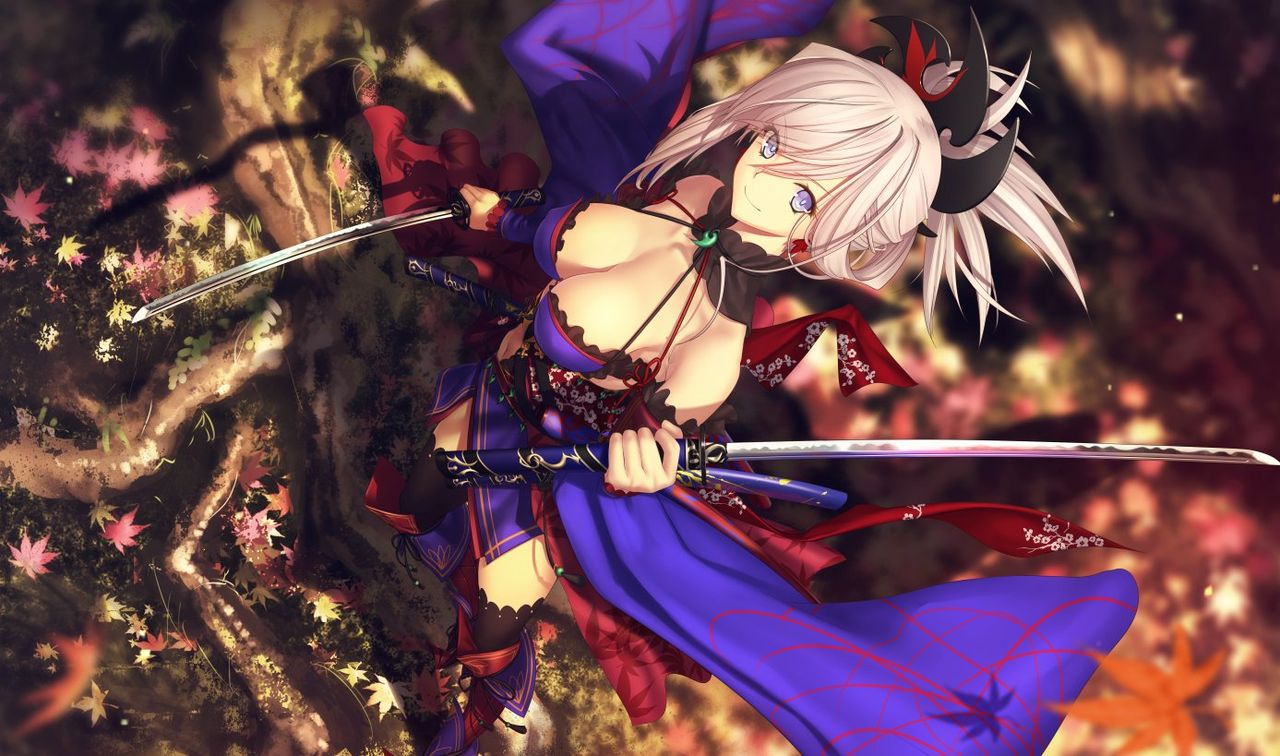 The second image of the Fate Grand order is too embarrassed about the matter 20