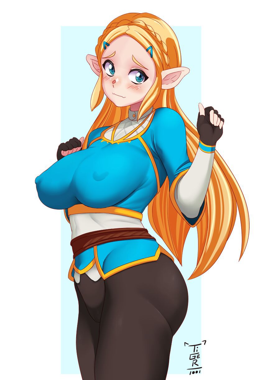 Princess Zelda (Breath of the wild & SSBU) 34