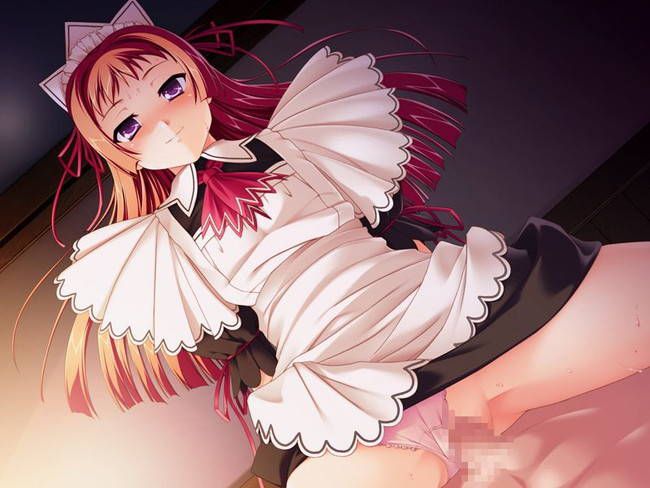 [50 maid clothes] Two-dimensional maid erotic image please! Part41 20