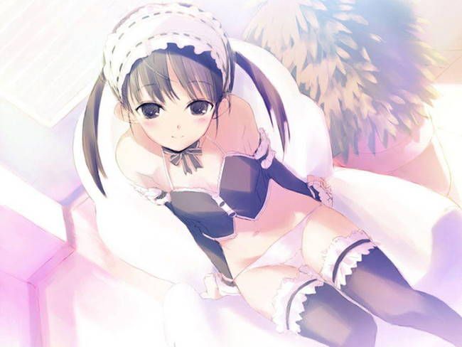 [50 maid clothes] Two-dimensional maid erotic image please! Part41 23