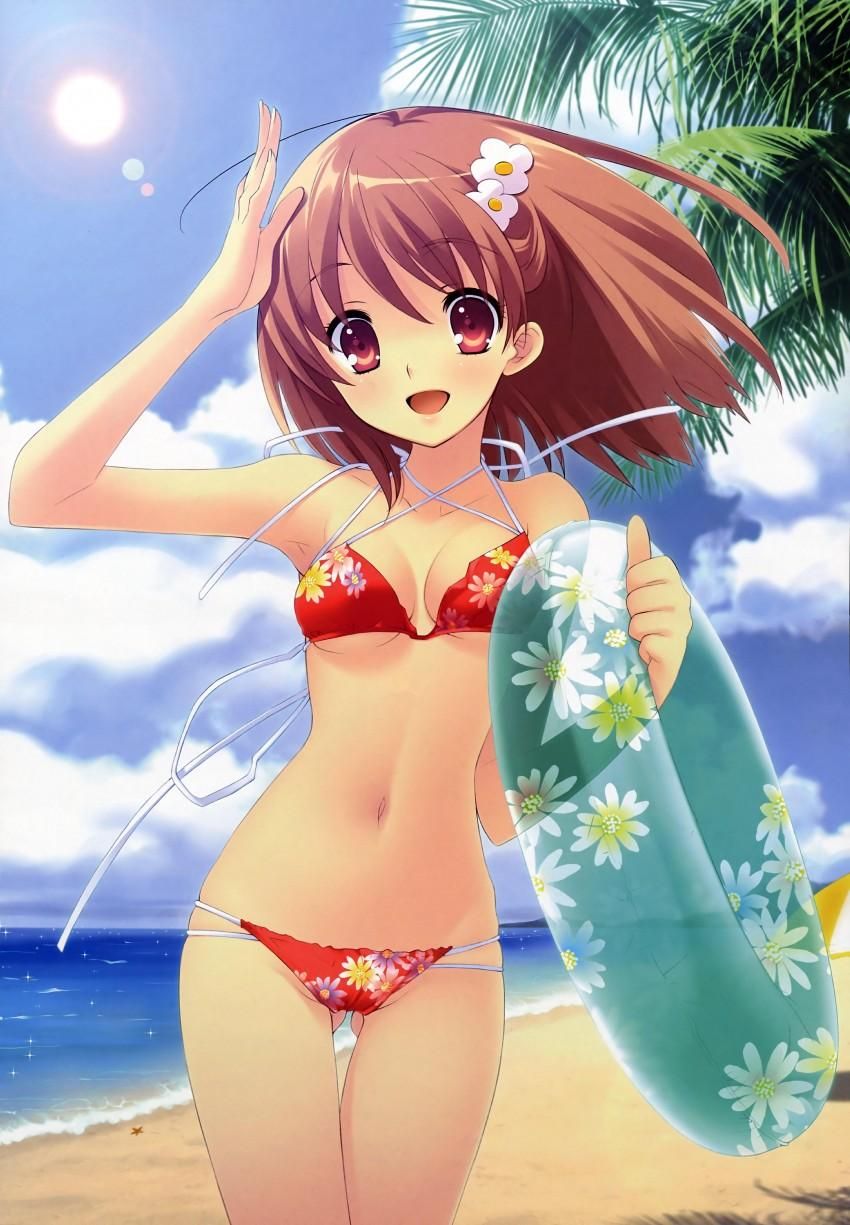 Swimsuit moe Illustration 11