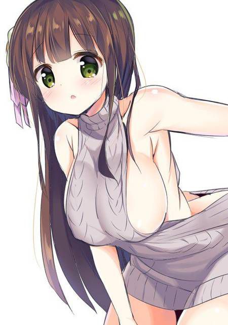 [72 pieces] Girl erotic image collection of two-dimensional sweater figure. 12 [Vertical Lipur] 27