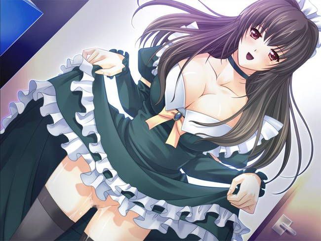 [50 pieces of maid clothes] two-dimensional maid erotic images please! Part39 16