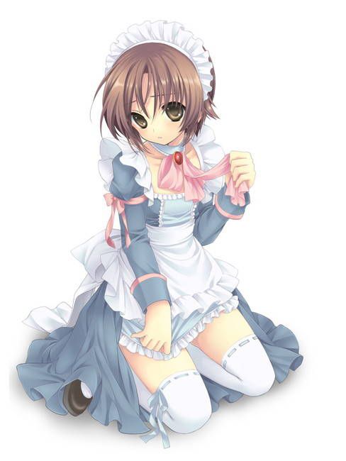 [50 pieces of maid clothes] two-dimensional maid erotic images please! Part39 2