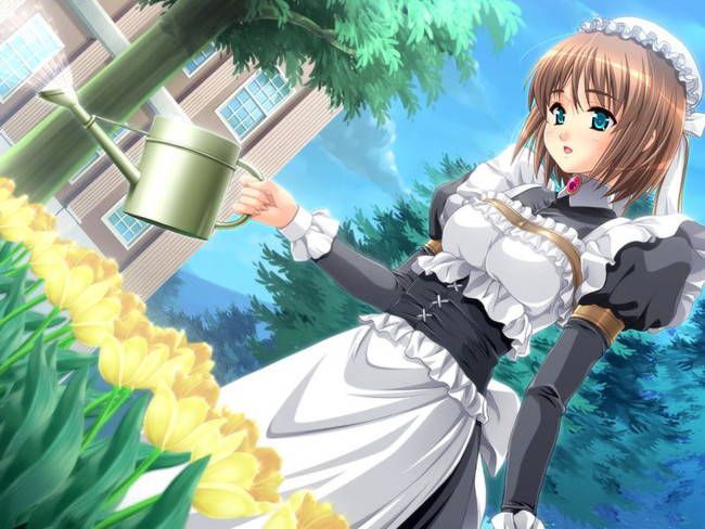 [50 pieces of maid clothes] two-dimensional maid erotic images please! Part39 21