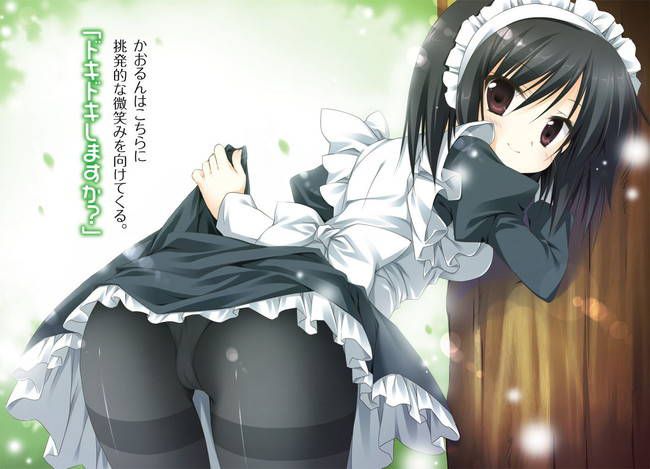 [50 pieces of maid clothes] two-dimensional maid erotic images please! Part39 32