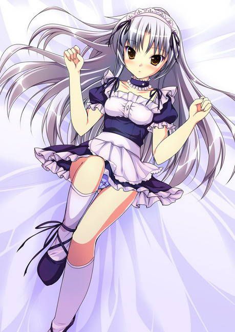 [50 pieces of maid clothes] two-dimensional maid erotic images please! Part39 40