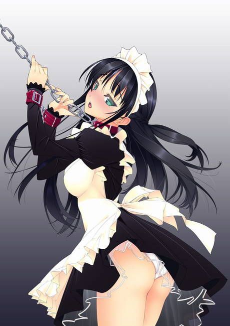 [50 pieces of maid clothes] two-dimensional maid erotic images please! Part39 41