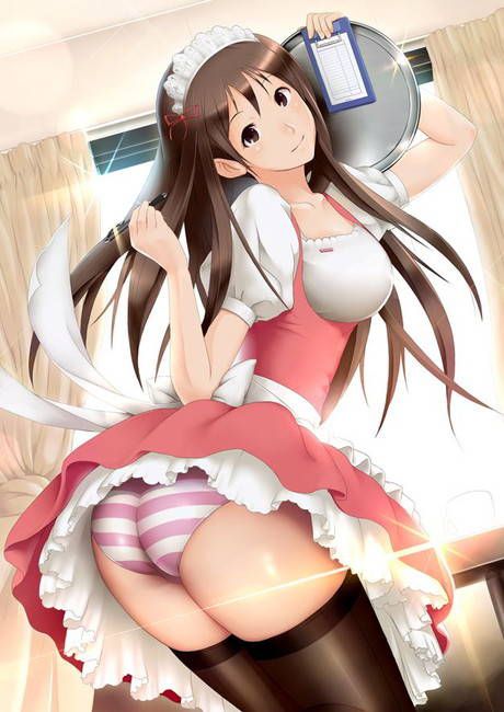[50 pieces of maid clothes] two-dimensional maid erotic images please! Part39 44